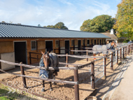 WG181024-80 - Warren Greatrex Stable Visit